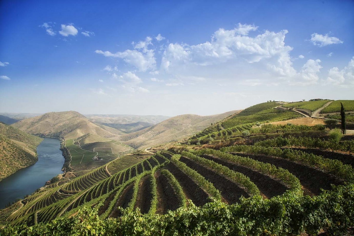 Douro Superior