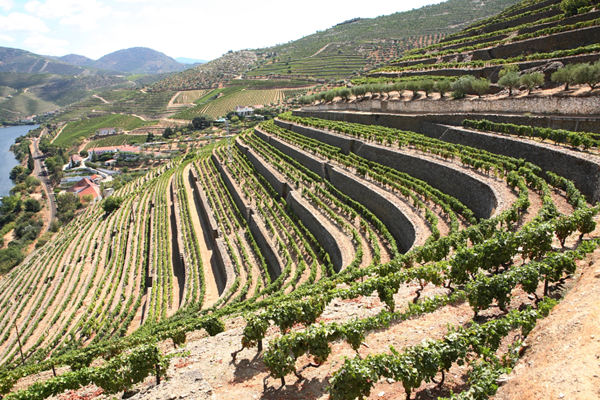 quinta de vargellas visit